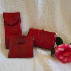 Collection of Red Eel Purse Accessories